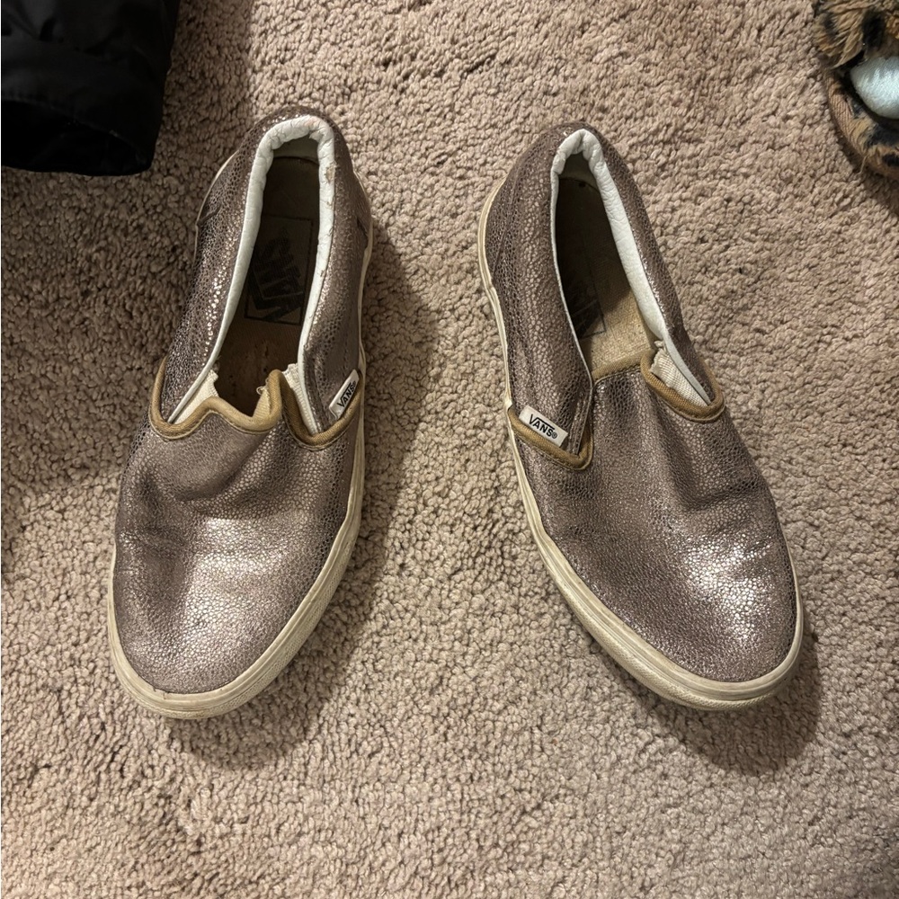 Metallic Vans